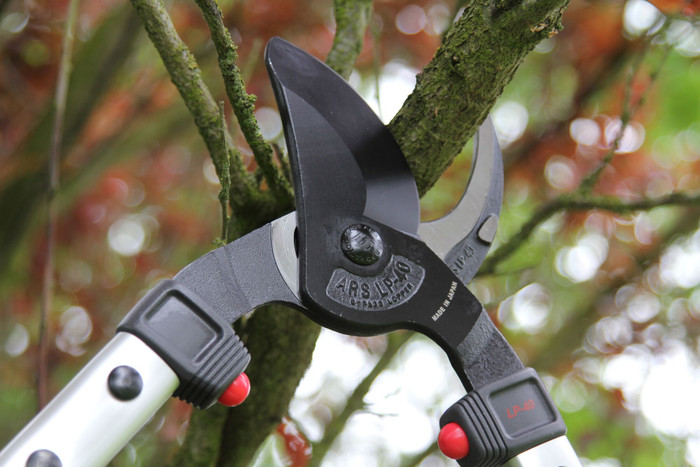 ARS LP40 Bypass Lopper