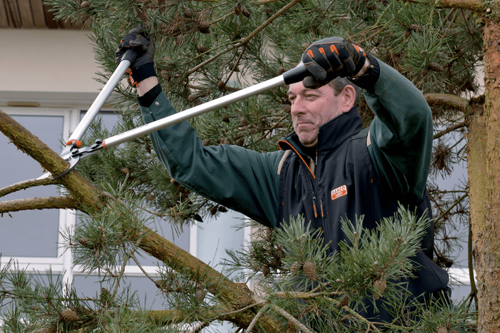 Bahco P280-SL-80 Professional 55mm Bypass Loppers with Long Lightweight Aluminium Handle