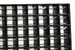 TS-256 Seedling Tray