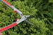 ARS KR1000 Precision Hedge Shears
