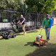 7 Key Steps to a Lawn Renovation