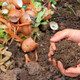 Supercharge Your Compost for Maximum Efficiency and Plant Health