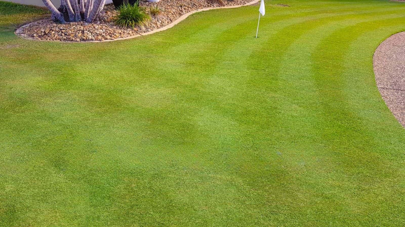 EasyGreen Lawn Rescue Kit — before and after