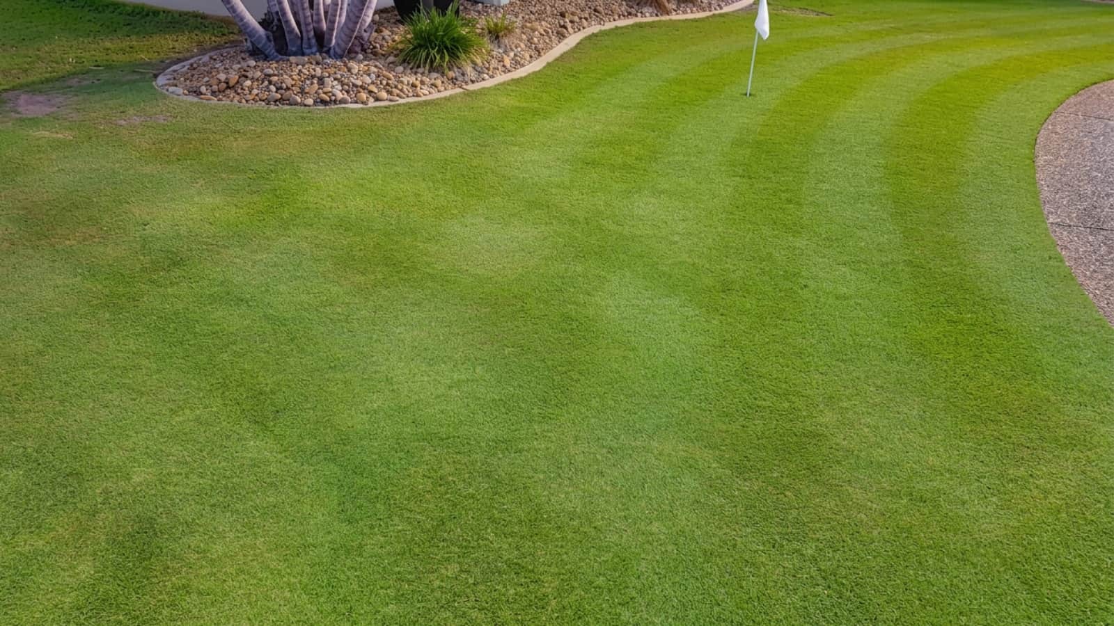 EasyGreen Lawn Rescue Kit results