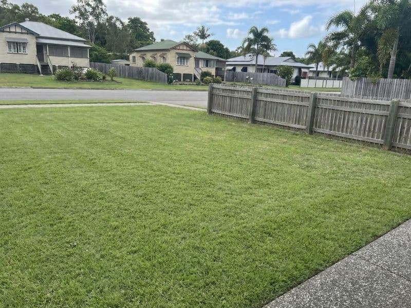 Grant's lawn after — Forster, NSW