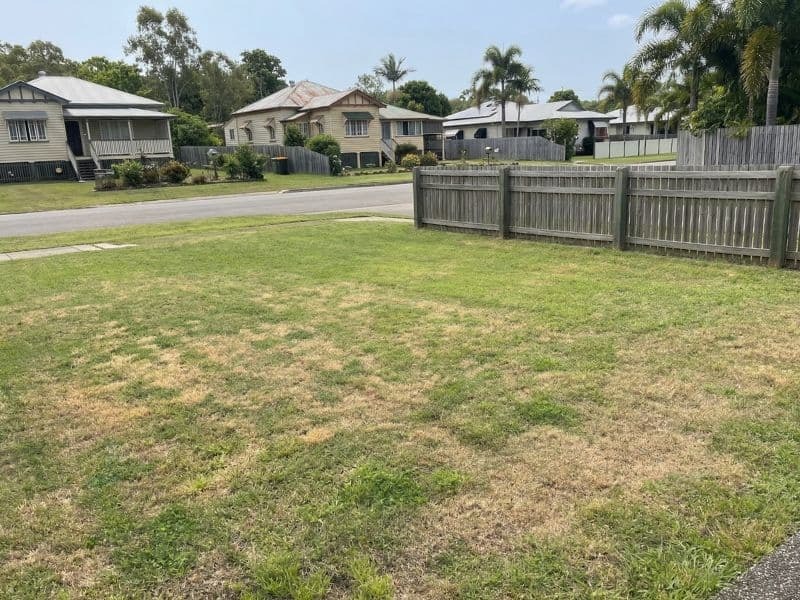 Grant's lawn before — Forster, NSW