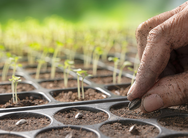 Growing Media, Components & Conditioners