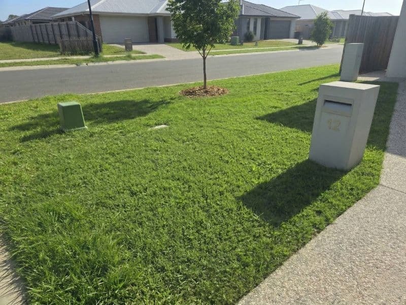 Jackson's lawn after — Newcastle, NSW