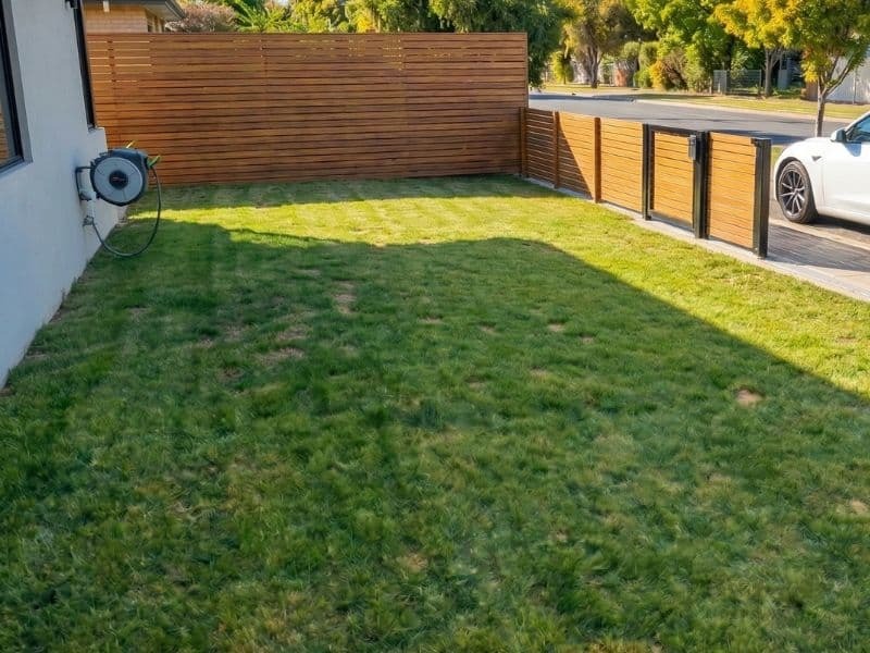 Stuart's lawn before — Sydney, NSW