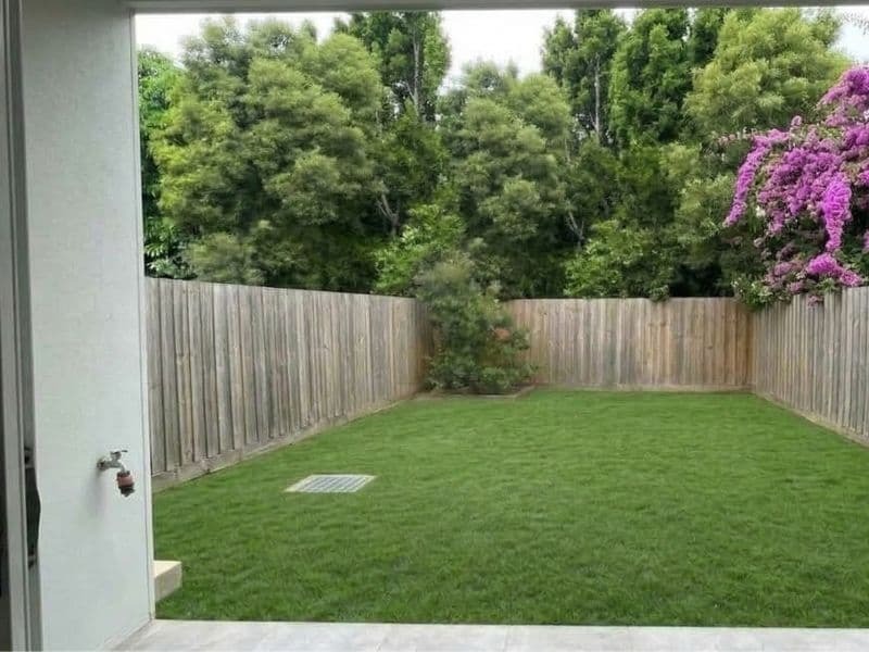 Yvette's lawn after — Gold Coast, QLD