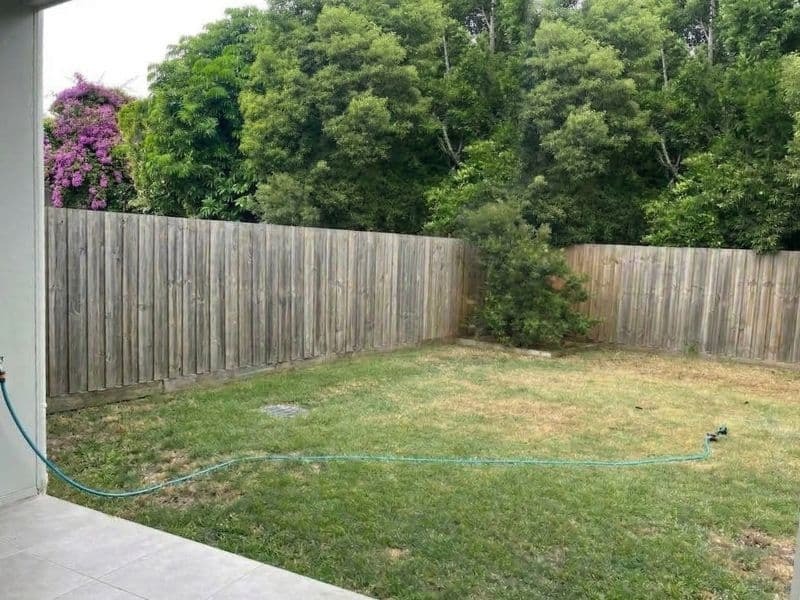 Yvette's lawn before — Gold Coast, QLD