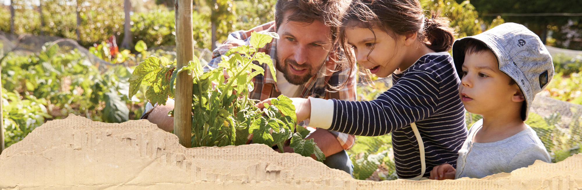 Sign Up to Save on Home Garden and Lawn Products