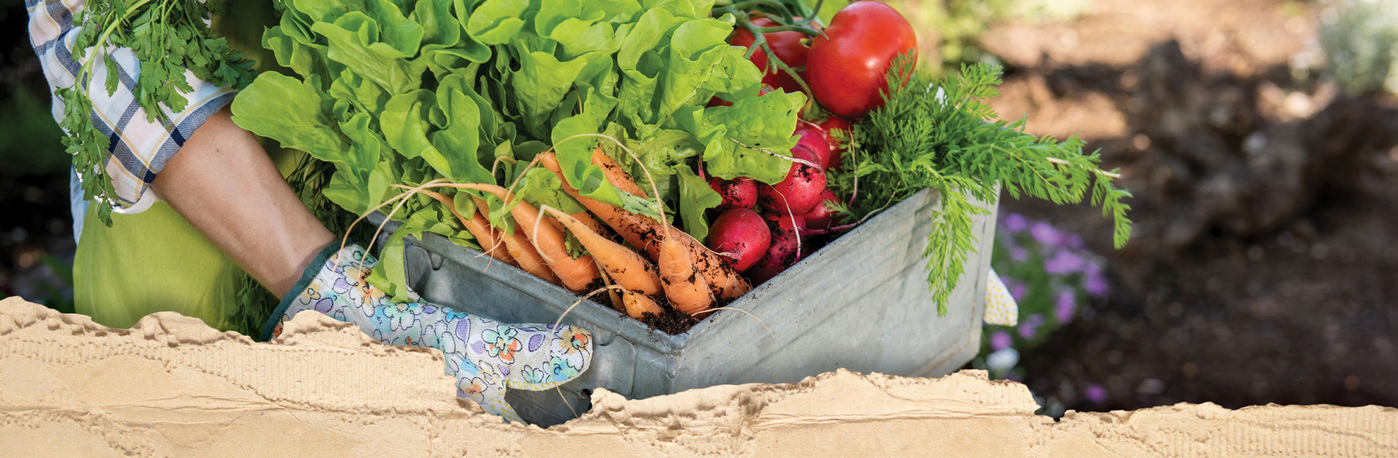 Save with our weekly sale on top garden and lawn products