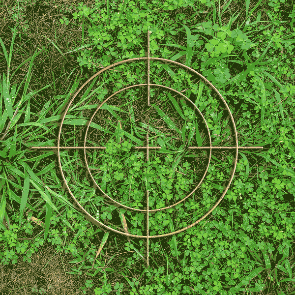 Battling Weeds How to Deal With Crab Grass, Clover & Other Weeds in