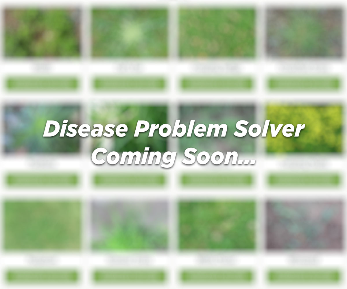 problem-solver-coming-soon-disease.jpg