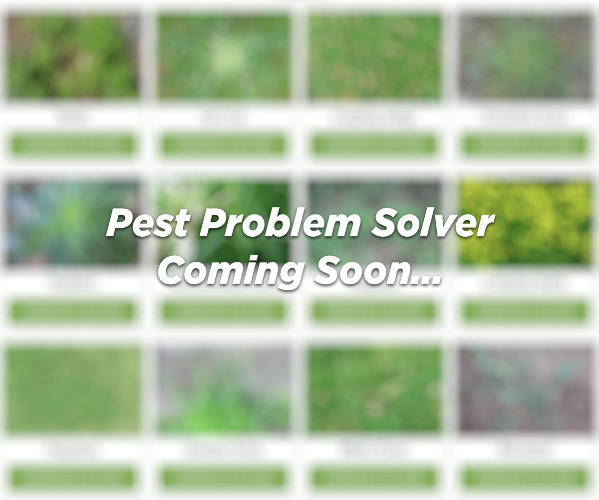 problem-solver-coming-soon-pest.jpg