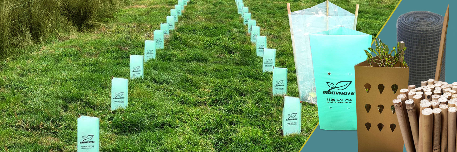 Your Guide to Choosing the Best Tree Guards for Your Property The