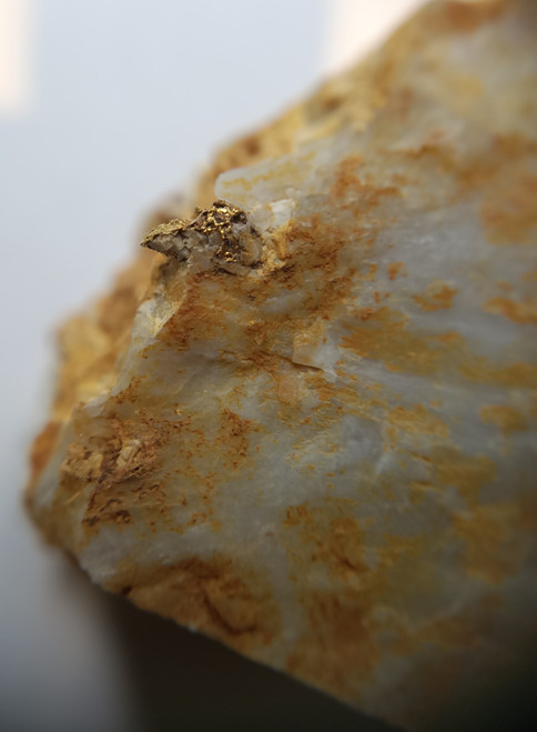 Gold in quartz and carbonates