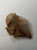 Crystalline Gold in quartz,  Berringa Victoria Australia   21095