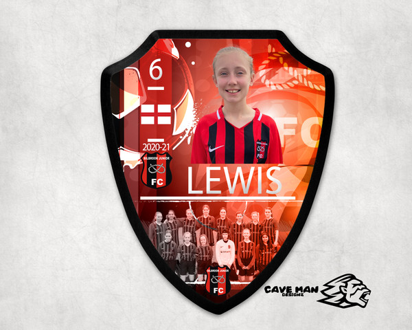 Personalised Player Shield