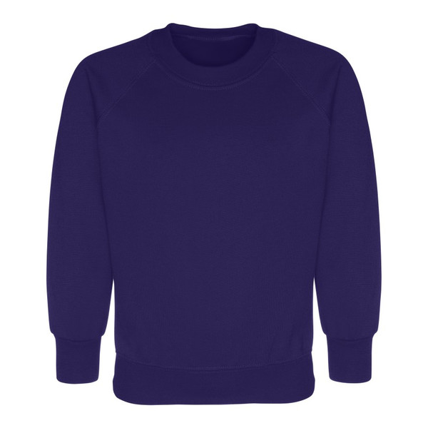 Alexander Peden Primary School Jumper