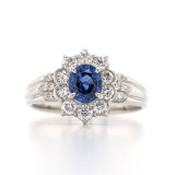 Platinum 0.75ct Sapphire & 0.51ct Diamond Cluster Ring murray co jewellers belfast
