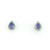 9ct White Gold 0.42ct Tanzanite & 0.18ct Diamond Cluster Earrings murray co jewellers belfast