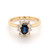 18ct Yellow Gold 0.72ct Sapphire & 0.20ct Diamond Cluster Ring murray co jewellers belfast