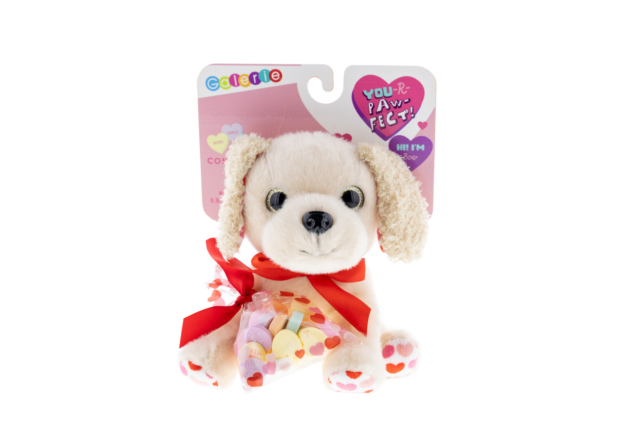Sweet Embrace: Galerie's Dog Plush & Valentine Conversation Hearts