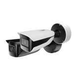 Sorveglianza e ispezione