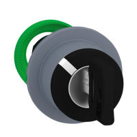 Testa selettore a chiave. Harmony XB5. filopannello. chiave 455 . 2 posizioni fisse.