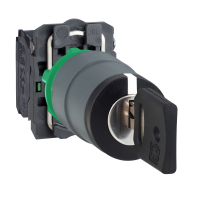 Selettore. Harmony XB5. chiave 455 3 posizioni fisse. a chiave . ghiera grigia. 2NO