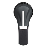 Manopola esterna nera TeSys GS2 - per interruttore sezionatore - 100...400 A