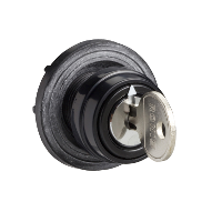 Testa commutatore 45 x 45 mm-metallizzata- chiave-etichetta neutra da incidere