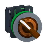 Selettore luminoso arancione 2 posizioni.- filopannello - 230Vac - ghiera grigia -÷˜30 - LED