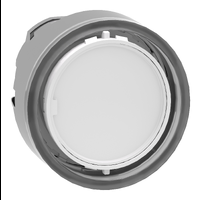 Testa pulsante luminoso con 6 capsule colorate- per LED universale