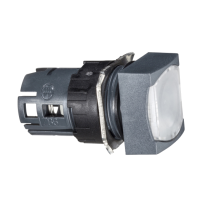 Testa pulsante luminoso quadrato ÷˜16 - sporgente - bianco