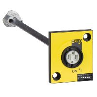 Manovra rotativa laterale rinviata dx - rossa - INS40..160