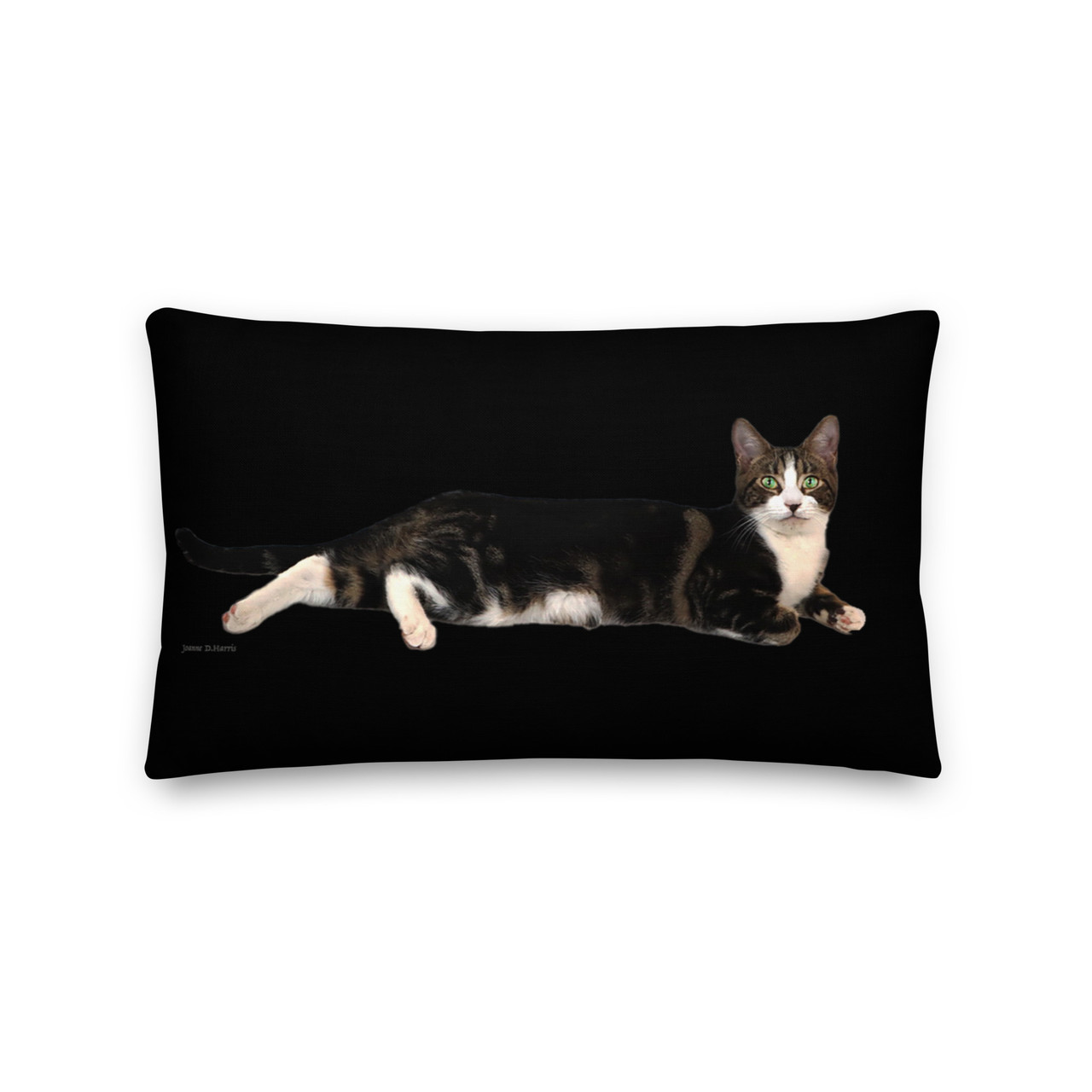 Lindy the Cat lounging on a 12 x 20 Black  Premium Pillow - Lindy Collection