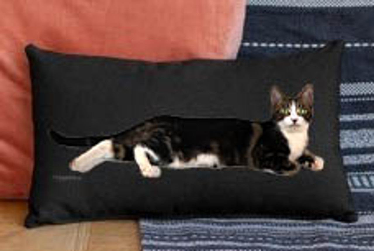 Lindy the Cat lounging on a 12 x 20 Black  Premium Pillow - Lindy Collection