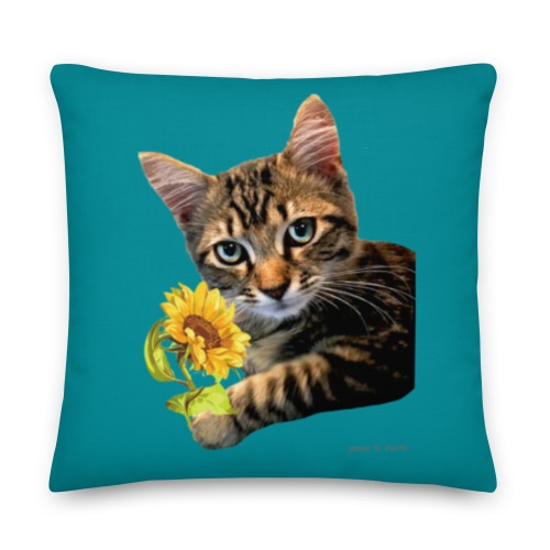 Kitten Tiara on a 22" x 22" Dark Aqua premium Pillow - Tiara Collection