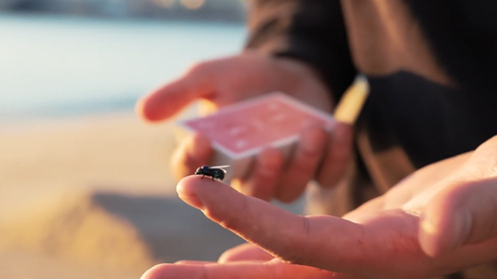 The FLY LITE by Marcos Waldemar