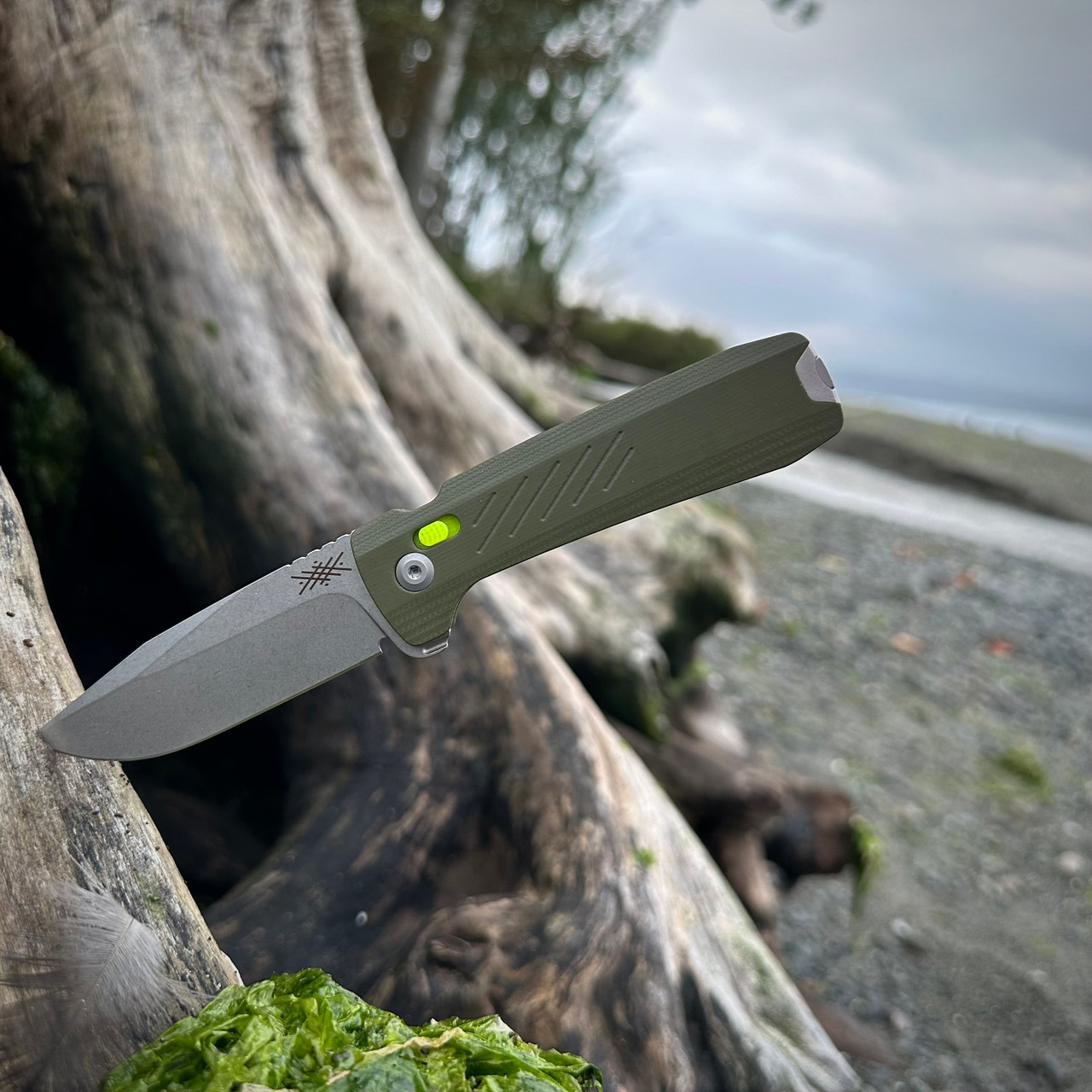 MERINO DM on sandy beach