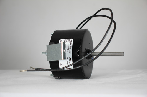 William ｜Rome +  Colliseum – Vault of Visuals