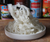 Rice Noodles (Chantaboon) 5mm 375g - Chef’s Choice