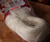 Bean Vermicelli (glass noodles) 250g- HAC