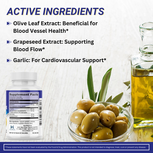 PreDia - Healthy Blood Pressure Support - (Olive Leaf Extract) ingrediants