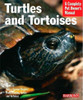 Tortoise Book