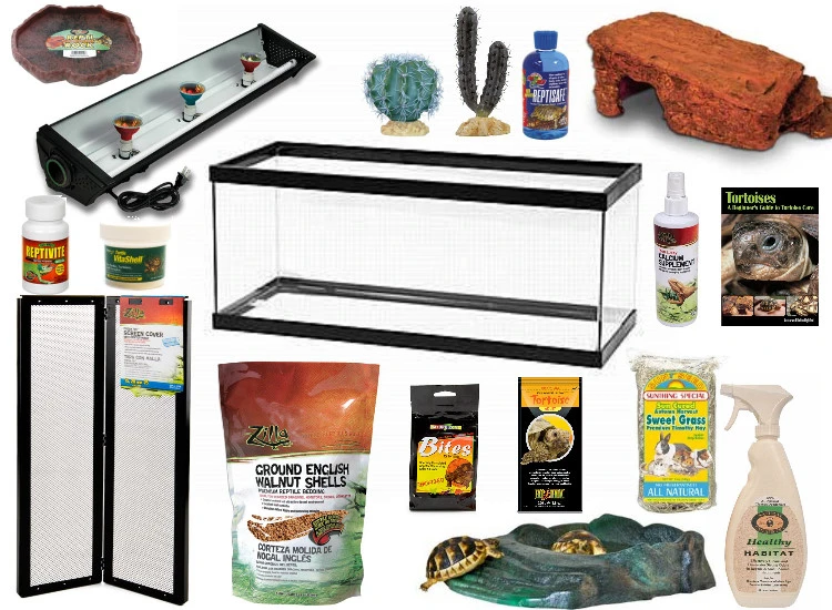Tortoise Set 20 Gallon Desert Tortoise Set Up Now With Free Shipping - MyTurtleStore.com