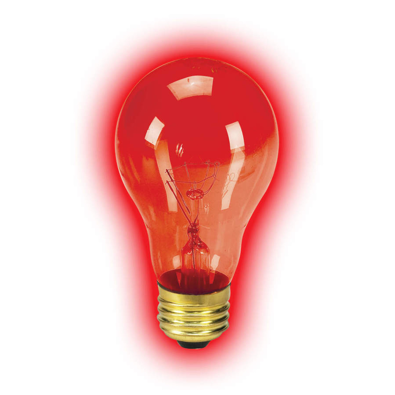 zilla night red heat bulb